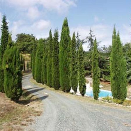 Sassi Bianchi Guest House Sensano Exterior photo