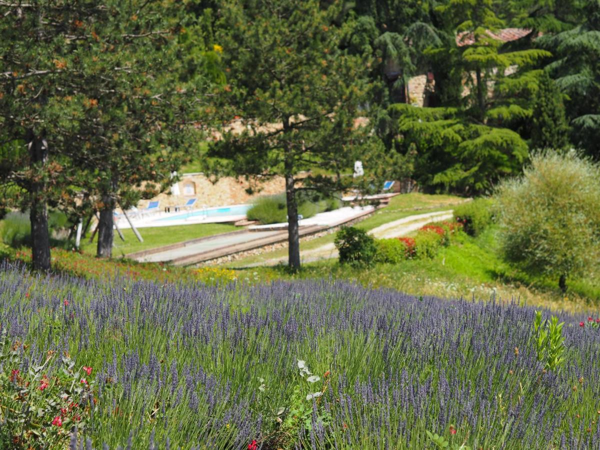Sassi Bianchi Guest House Sensano Exterior photo